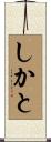 しかと Scroll