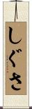 しぐさ Scroll
