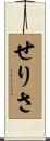 せりさ Scroll