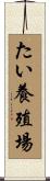 たい養殖場 Scroll