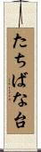 たちばな台 Scroll