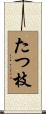 たつ枝 Scroll