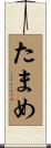 たまめ Scroll