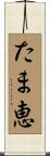 たま恵 Scroll