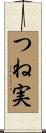 つね実 Scroll