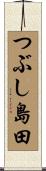 つぶし島田 Scroll