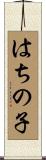 はちの子 Scroll