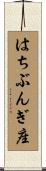はちぶんぎ座 Scroll