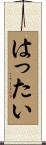 はったい Scroll