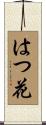 はつ花 Scroll