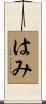 はみ Scroll