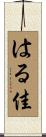 はる佳 Scroll