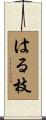 はる枝 Scroll