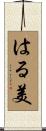 はる美 Scroll