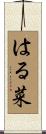 はる菜 Scroll