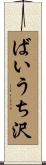 ばいうち沢 Scroll