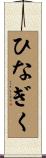 ひなぎく Scroll