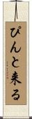 ぴんと来る Scroll