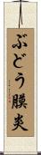 ぶどう膜炎 Scroll