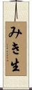 みき生 Scroll