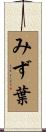 みず葉 Scroll