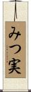 みつ実 Scroll