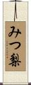 みつ梨 Scroll