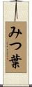 みつ葉 Scroll