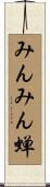 みんみん蝉 Scroll