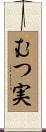 むつ実 Scroll