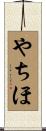やちほ Scroll