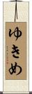 ゆきめ Scroll
