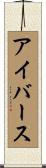 アイバース Scroll