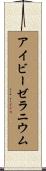 アイビーゼラニウム Scroll