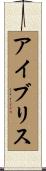 Ivelise Scroll