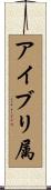 アイブリ属 Scroll