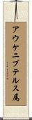 アウケニプテルス属 Scroll