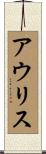 アウリス Scroll