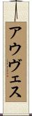 アウヴェス Scroll