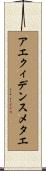 アエクィデンスメタエ Scroll