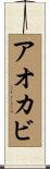 アオカビ Scroll