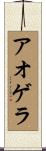 アオゲラ Scroll
