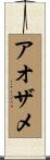 アオザメ Scroll
