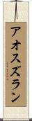 アオスズラン Scroll