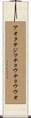 アオタテジマチョウチョウウオ Scroll