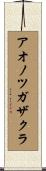 アオノツガザクラ Scroll