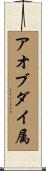 アオブダイ属 Scroll
