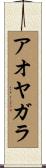 アオヤガラ Scroll
