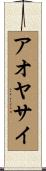 アオヤサイ Scroll