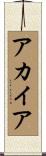 アカイア Scroll